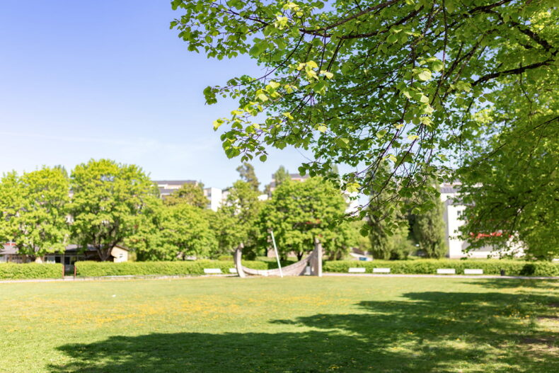 En närliggande park med gräsytor och stora träd