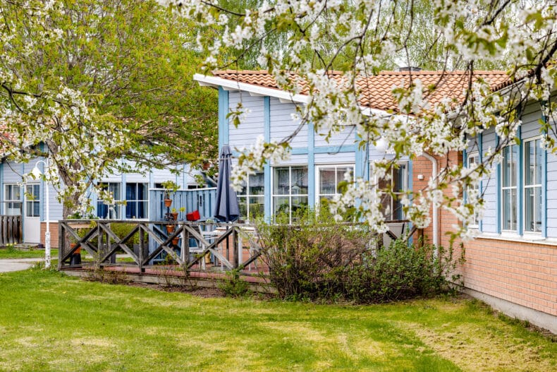 En uteplats på håll, omgiven av träd och buskar och med en gräsmatta framför