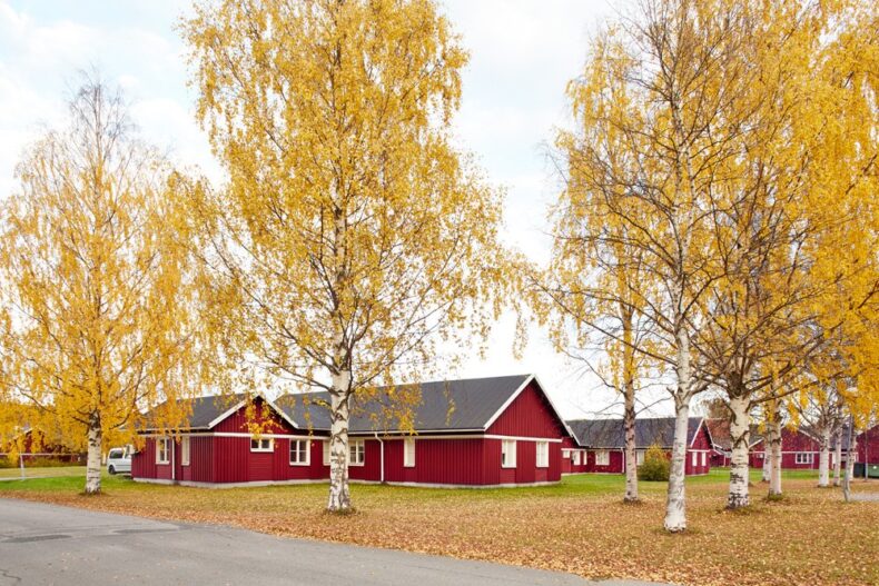 Verksamhetens fasad omgiven av björkträd