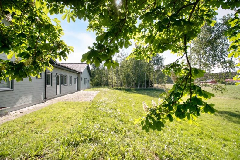 Gräsmattan bakom boendet, med trädgrenar i förgrunden