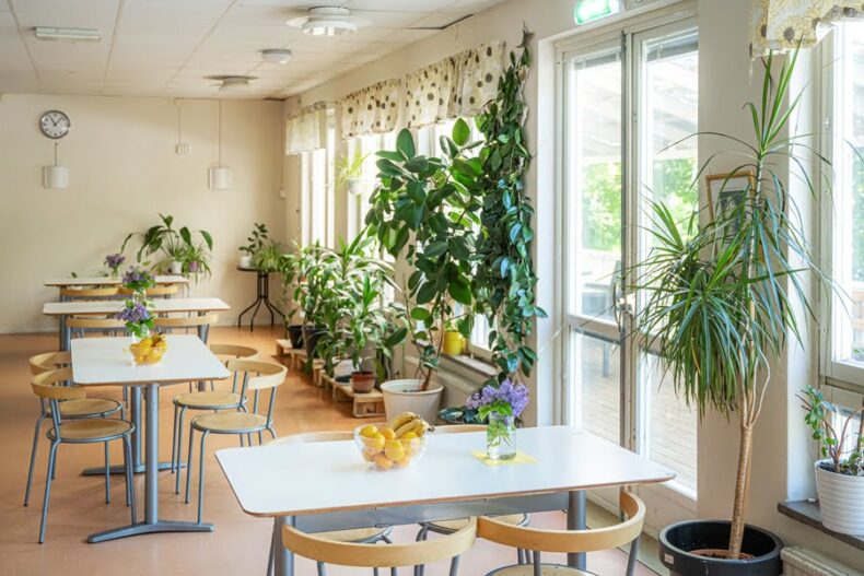 Boendets matsal med flera bord med fruktskålar och blomvaser. Ena väggen har många stora fönster med krukväxter framför