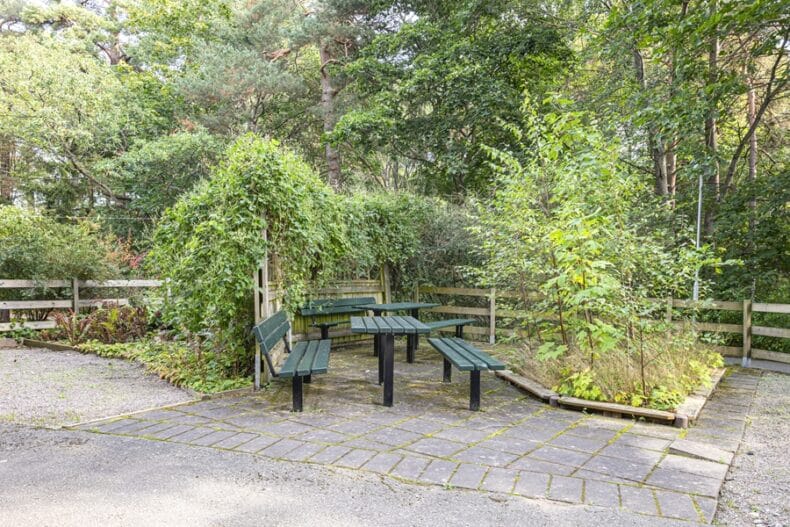 Uteplats med parkbänkar och mycket växtlighet