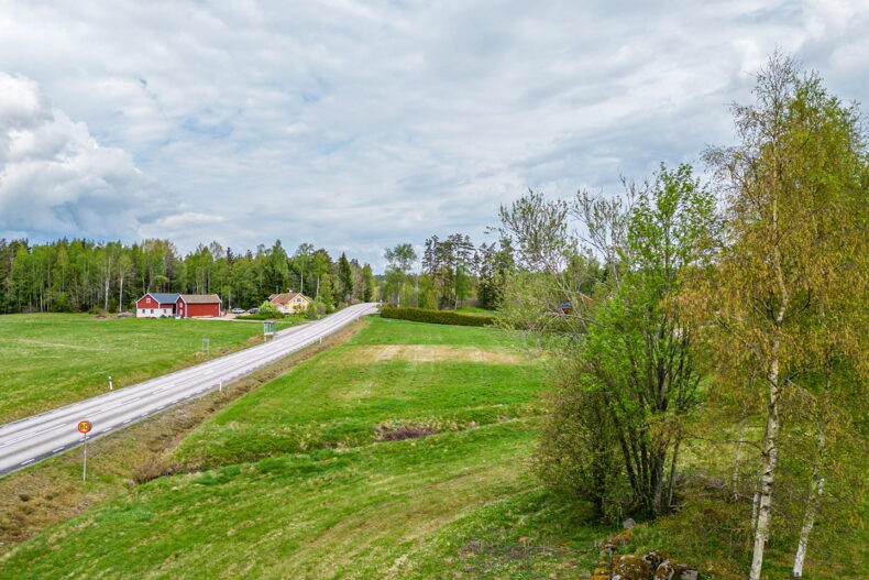 Närmiljö med mycket grönska
