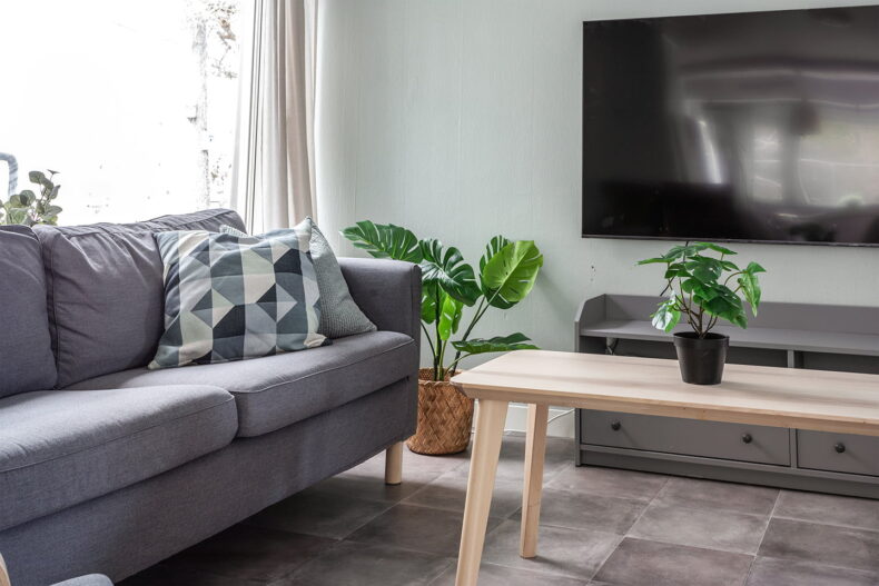 TV hörna med Soffa fylld av kuddar och dekorativa växter