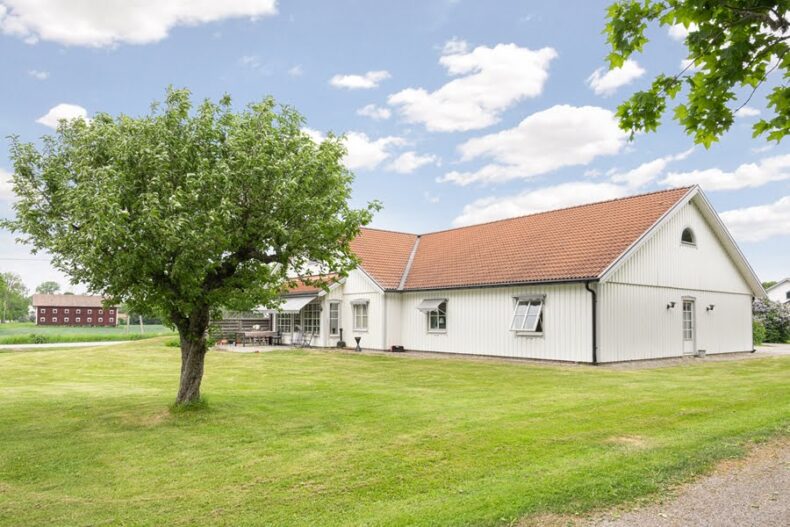 Ett fruktträd på gräsmattan framför boendet