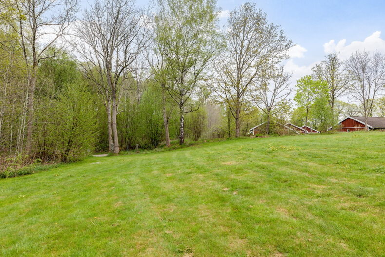 Stor öppen gräsmatta omgiven av grönska intill huset