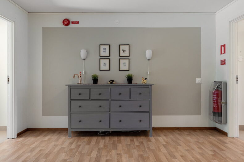 Byrå dekorerad med växter och tavlor