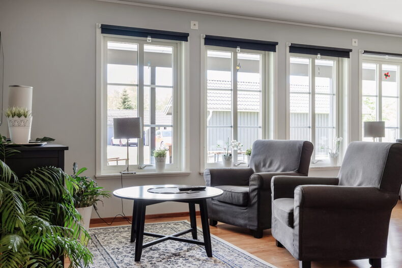 Myshörna intill stora fönster med gråfåtöljer, en TV och dekorativa växter